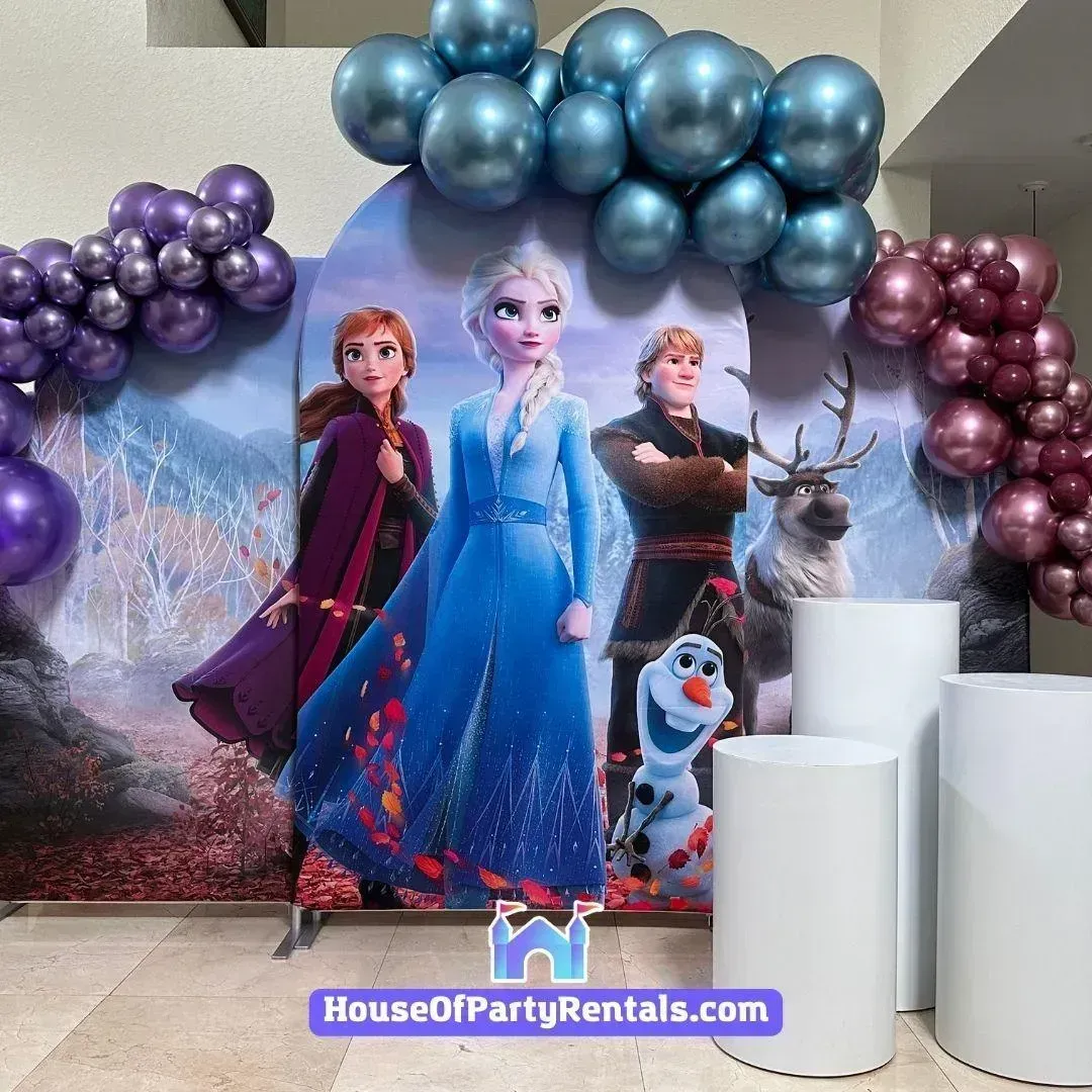 Frozen Team Birthday Decoration